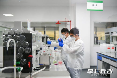 長沙向新而行，為質而奔 環保材料研發引領綠色未來