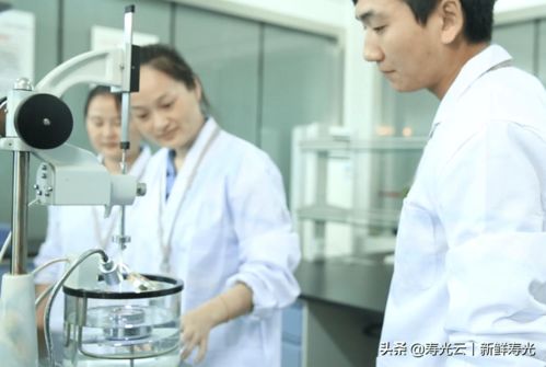 宏源防水 創(chuàng)新賦能，譜寫綠色建筑新篇章